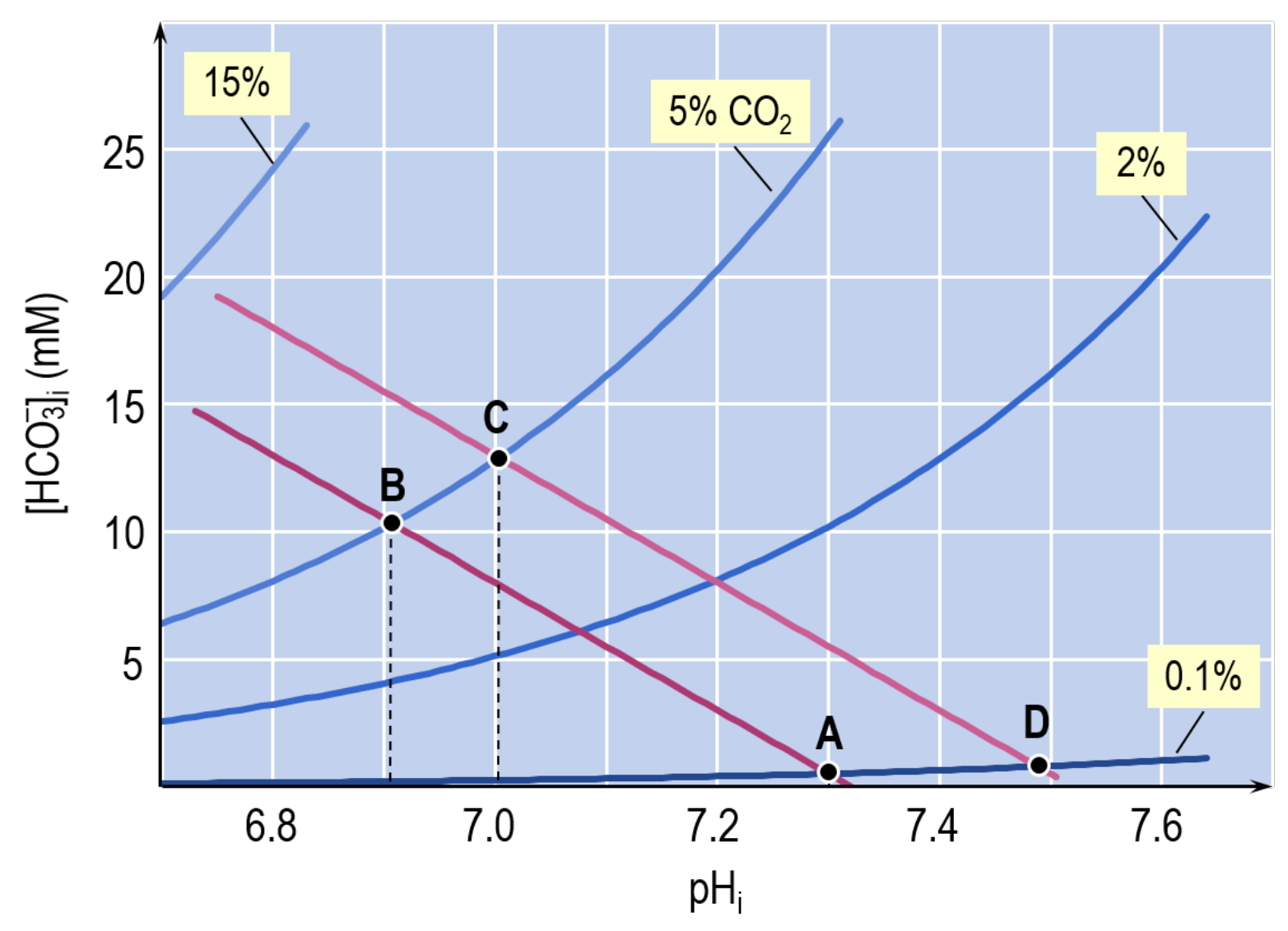 A Davenport diagram (from figure 5A of BDW). This nomogram consists of two kinds of plots. The first kind of plot is represented by the four \mathrm{CO_2} isopleths that slope upwards from left to right. Each isolpleth represents all possible combinations of \mathrm{[HCO_3^-]_i} and \mathrm{pH_i} for a given \mathrm{[CO_2]_i} (described here as the \% of the air phase that is \mathrm{CO_2}). The second kind of plot is represented by the two lines that slope downwards from left to right. The slope of these parallel lines describes the buffering power of non-\mathrm{CO_2}/\mathrm{HCO_3^-} buffers. BDW assumed that the experiment starts at point A, at \mathrm{pH_i} = 7.32 and 0.1\% \mathrm{CO_2}. The addition of 5\% \mathrm{CO_2} causes the \mathrm{pH_i} at equilibrium to fall to the point represented by point B. The extrusion of acid during the \mathrm{CO_2}/\mathrm{HCO_3^-} exposure causes the system to move along the 5\% \mathrm{CO_2} isopleth from point B to point C. Finally, upon removal of \mathrm{CO_2}/\mathrm{HCO_3^-}, the system returns to the original \mathrm{CO_2}/\mathrm{HCO_3^-} isopleth, but now at point D. The difference between points D and A represents the \mathrm{pH_i} overshoot. In the BDW paper, \beta — the slope of the lines in this figure — appeared to be 25 \mathrm{mM}/\mathrm{pH} unit. In fact, the value of \beta determined in the \mathrm{NH_3}/\mathrm{NH_4^+} experiments (also shown as a Davenport-like diagram in figure 5B of BDW) was 9 \mathrm{mM}/\mathrm{pH} unit. The reason for this discrepancy was probably that BDW delivered the \mathrm{CO_2}/\mathrm{HCO_3^-} solution to the axon using a peristaltic pump and Silastic tubing, which they later realised has a high \mathrm{CO_2} permeability. Thus, the \mathrm{[CO_2]} reaching the axon was <5\%, accounting for the artificially inflated value for \beta. In their follow-up paper , BDW delivered the \mathrm{CO_2}/\mathrm{HCO_3^-} solutions from glass syringes and through Saran tubing, which has an extremely low \mathrm{CO_2} permeability.